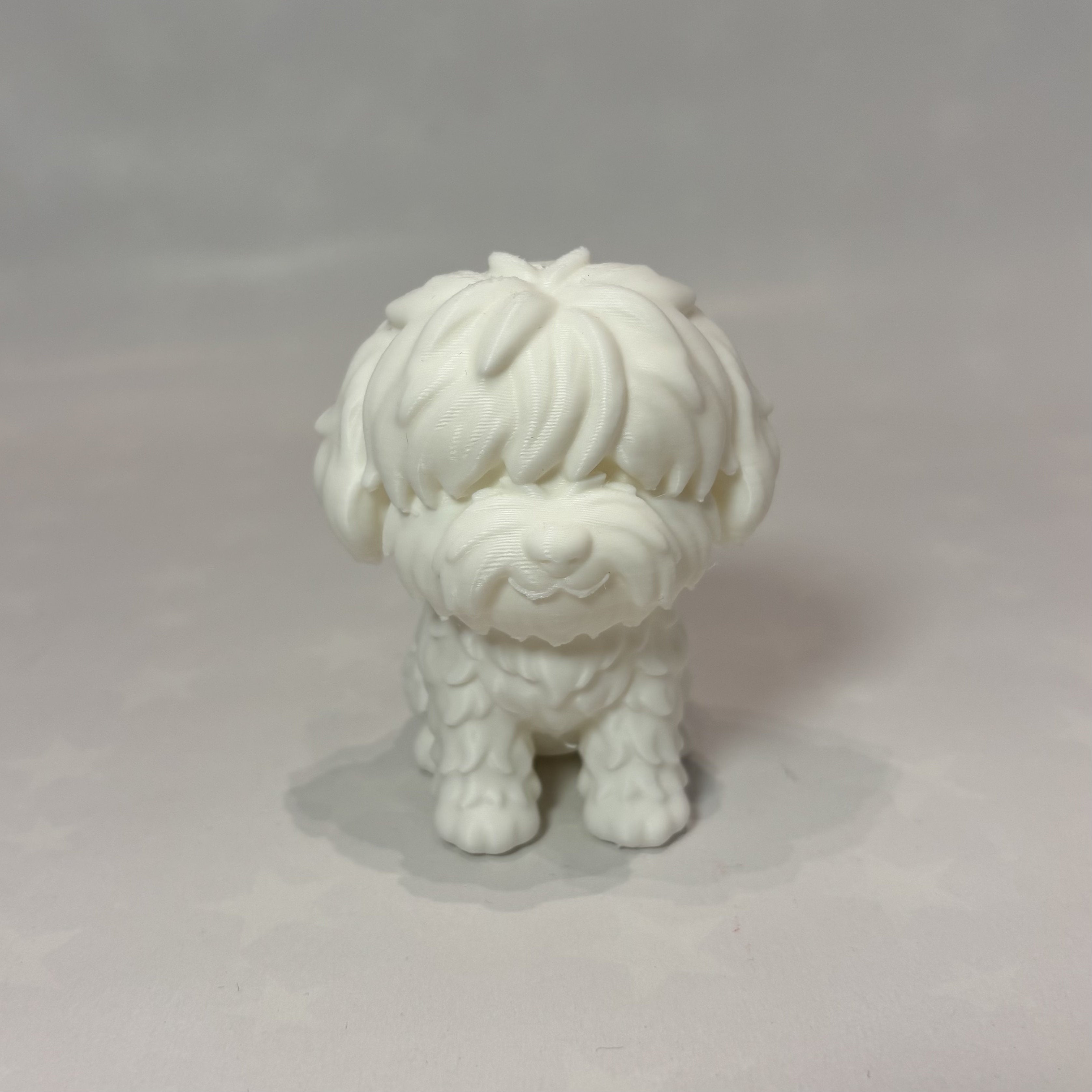 Ninotet Mascota - Tu Peludo en Miniatura